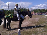Florida Renaissance Festival